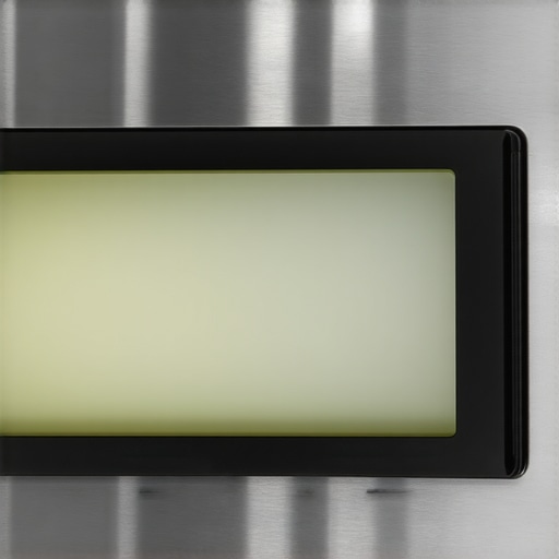 Burnt mica waveguide cover showing signs of electrical arcing inside a microwave cavity.
